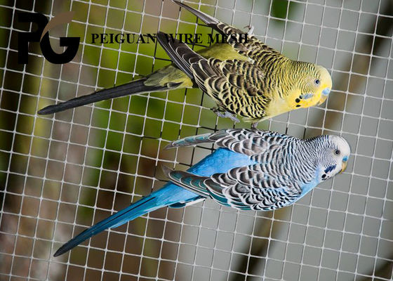Laag de Draadnetwerk 12.7mmx12.7mm van het Koolstofijzer voor Gevogeltekooien
